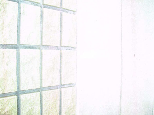 雨漏り博士工房の現場写真69
